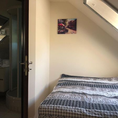 Beachfront Studio Apartman Aparthotel Balatonfůzfő Екстериор снимка