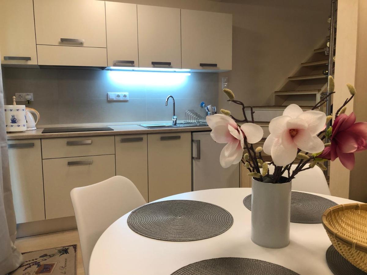 Beachfront Studio Apartman Aparthotel Balatonfůzfő Екстериор снимка