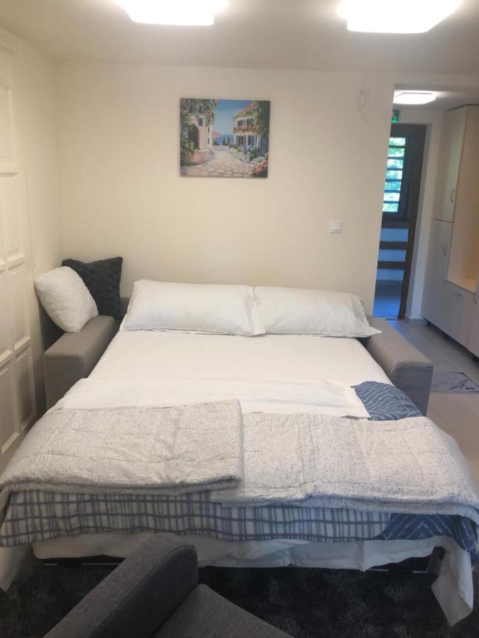 Beachfront Studio Apartman Aparthotel Balatonfůzfő Екстериор снимка