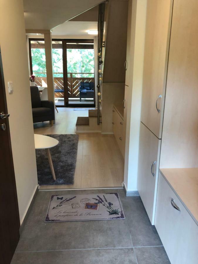 Beachfront Studio Apartman Aparthotel Balatonfůzfő Екстериор снимка