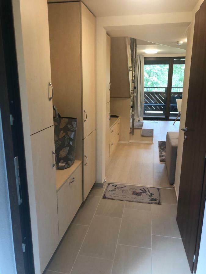 Beachfront Studio Apartman Aparthotel Balatonfůzfő Екстериор снимка