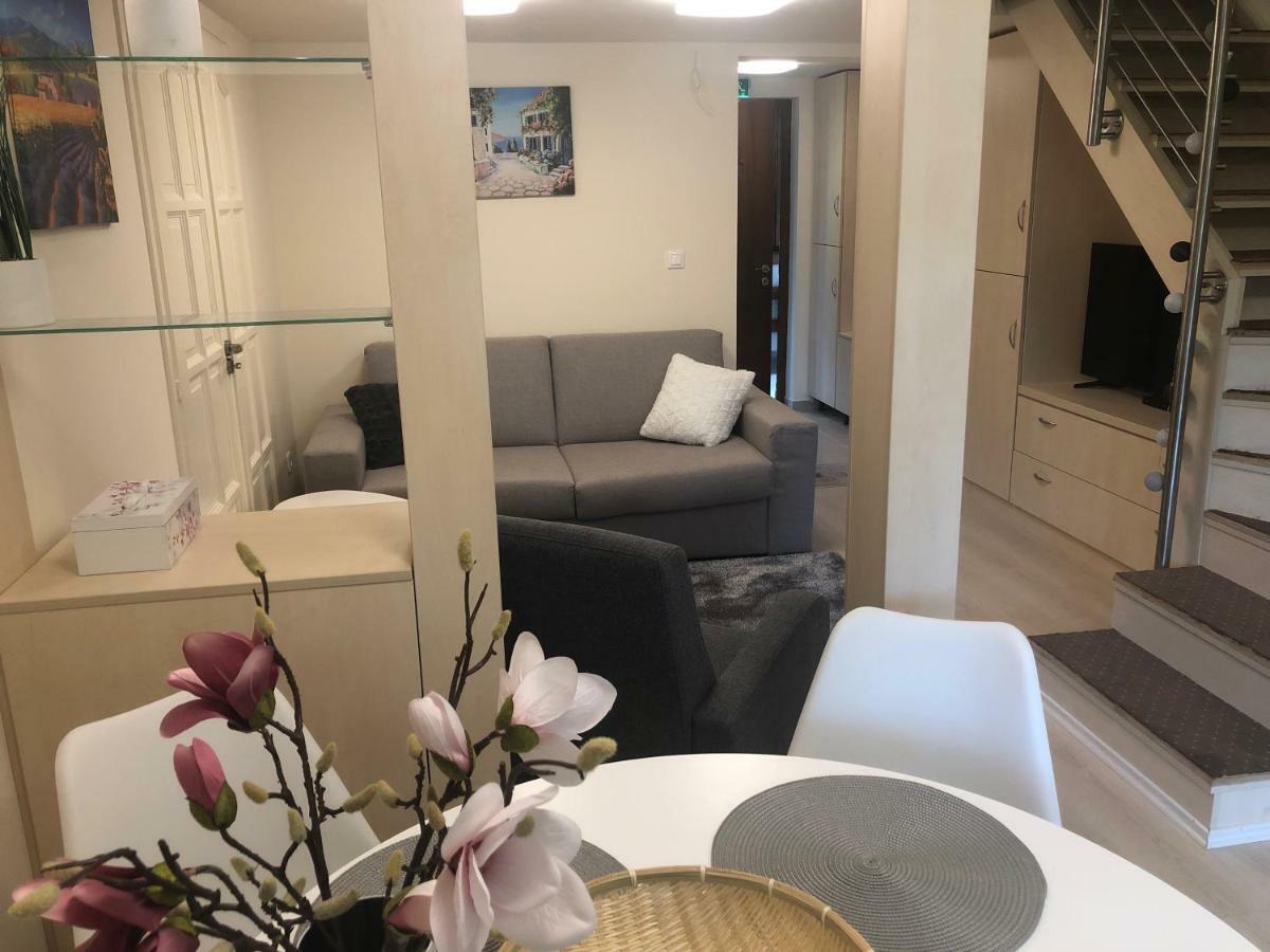 Beachfront Studio Apartman Aparthotel Balatonfůzfő Екстериор снимка